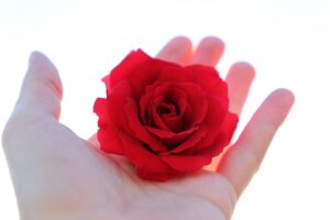 ダイエットサプリの飲み忘れを防止するための効果的な方法は？