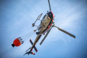 30代女性におすすめの時短美痩せ法としてのビフィズス菌B-3サプリの効果は？